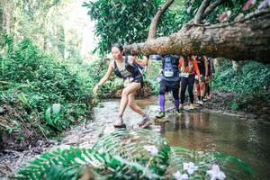 BIB: 
                            <button type="button" onclick="openModal(25477924)" class="btn btn-primary btn-sm float-right btn-popup" data-toggle="modal" data-target=".modal-high-quality">
                        <i class="fas fa-shopping-cart"></i> Add to Cart
                    </button>
                                            <button type="button" onclick="isThisMe(25477924, true)" class="btn btn-success btn-sm float-right btn-popup btn-isme hidden" data-toggle="tooltip" data-placement="bottom" title="นี่คือรูปของคุณใช่ไหม คลิกที่นี่เพื่อเอาเข้าอัลบั้ม">
                        <i class="fas fa-plus"></i> Add to album
                    </button>
                    <button type="button" onclick="isThisMe(25477924, false)" class="btn btn-warning btn-sm float-right btn-popup btn-isnotme hidden">
                        <i class="fas fa-ban"></i> Remove from album
                    </button>